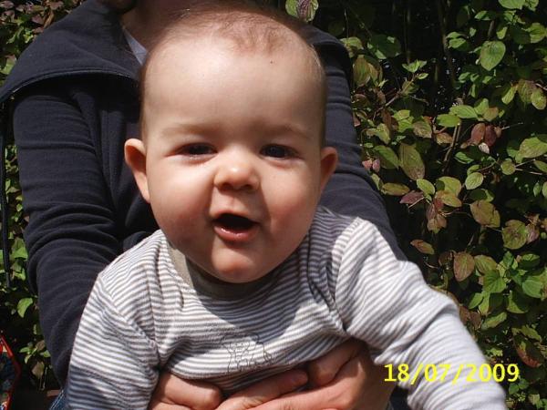 Bild zu