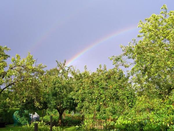Bild zu 