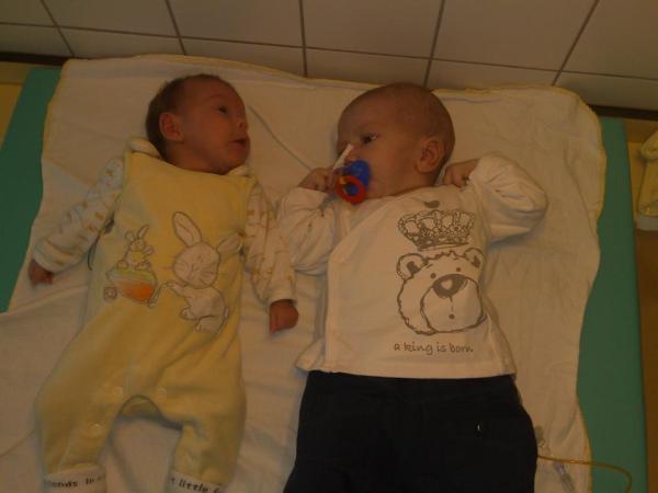 Bild zu