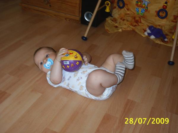 Bild zu