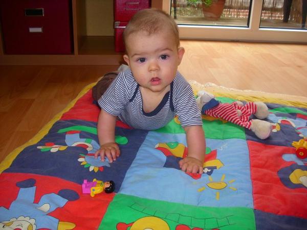 Bild zu 