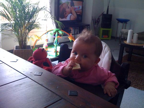 Bild zu 