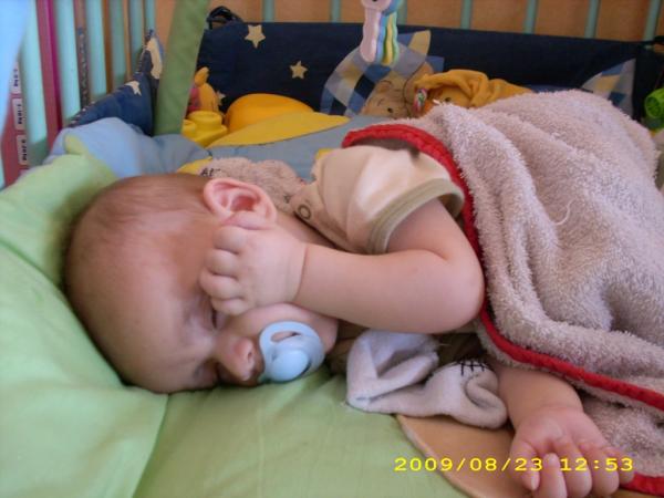Bild zu 