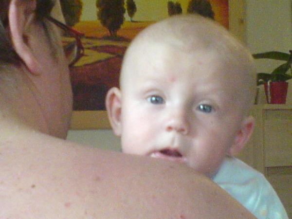 Bild zu