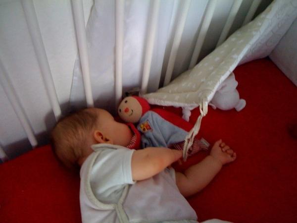 Bild zu Ohje...ein Räuber! - Forum für Januar - Mamis