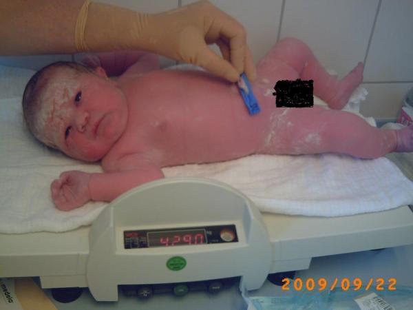 Bild zu Foto von Elunas süsser Emelie - Forum für Januar - Mamis