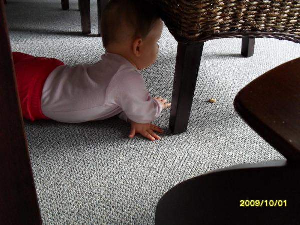 Bild zu Ich hab gestern soooo gelacht!!! - Forum für Januar - Mamis