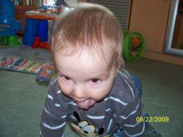 Bild zu 