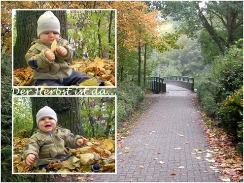 Bild zu Der Herbst ist angekommen! - Forum für Januar - Mamis