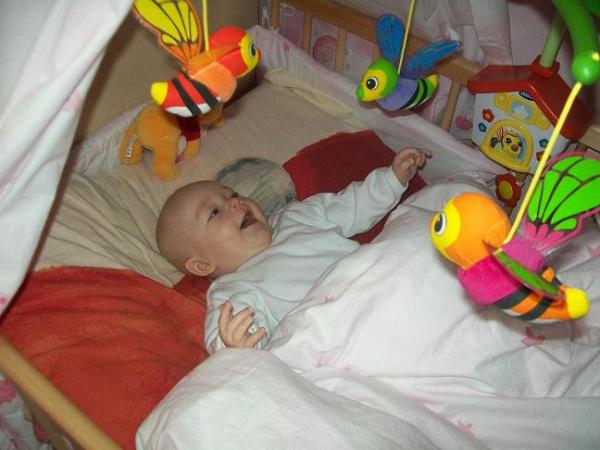 Bild zu