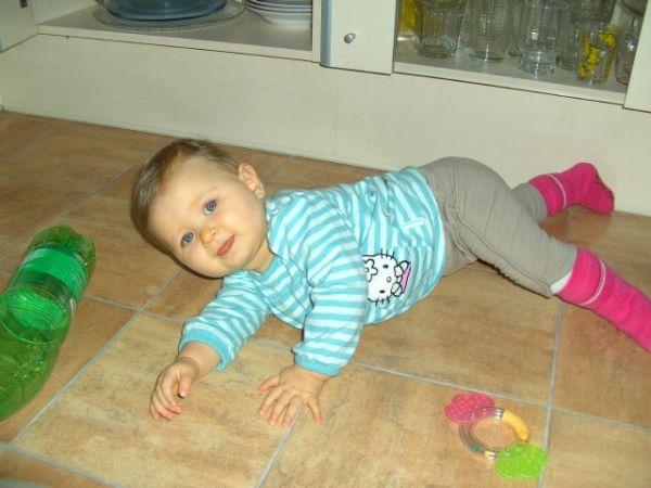 Bild zu