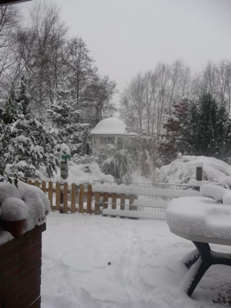 Bild zu