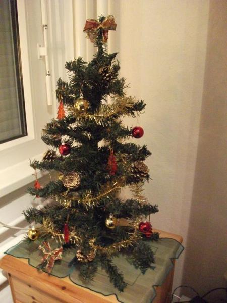 Bild zu unser zwergenbaum - Forum für Januar - Mamis