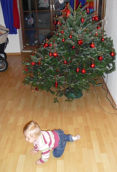 Bild zu 