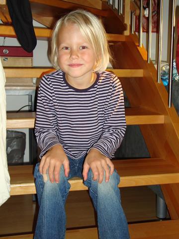 Bild zu 