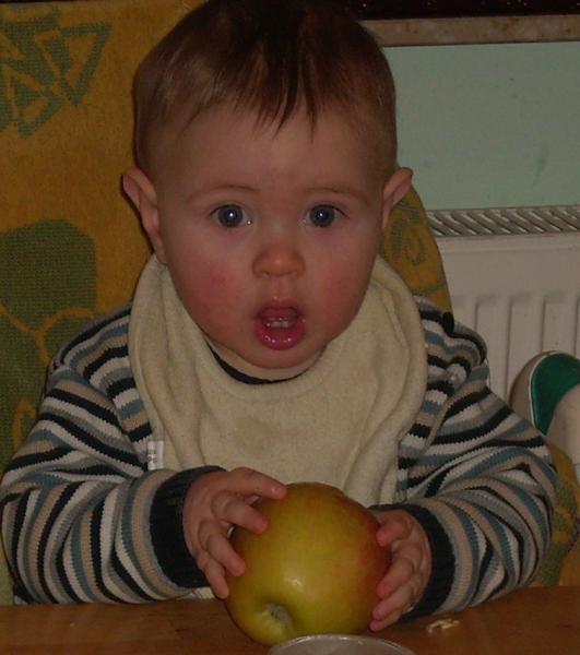 Bild zu 