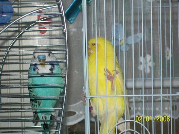 Bild zu