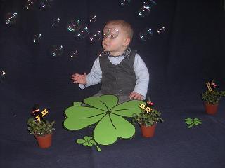 Bild zu 