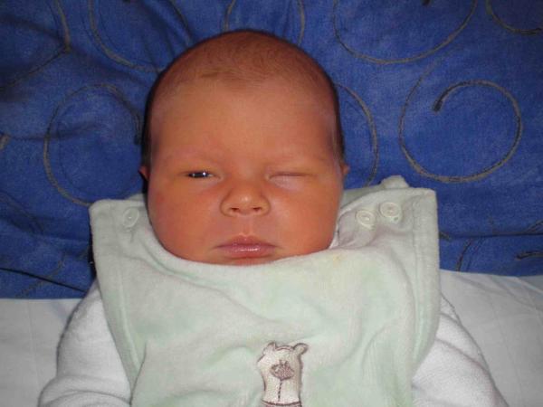 Bild zu Geburtsbericht + Foto - Forum für Januar - Mamis