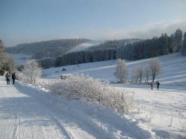Bild zu 