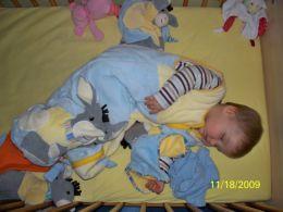 Bild zu 