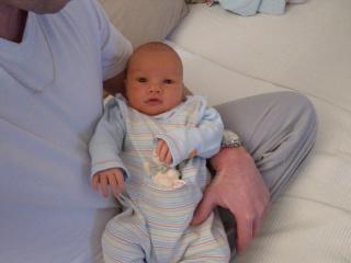 Bild zu 