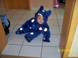 Bild zu 