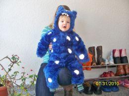 Bild zu 