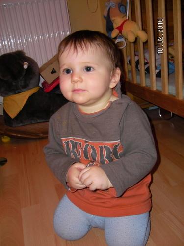 Bild zu 