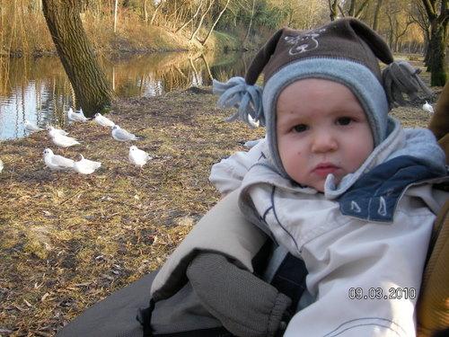 Bild zu 