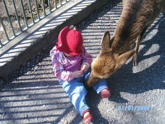 Bild zu und jetzt meine kleine gestern im Wildpark:-) - Forum für Januar - Mamis