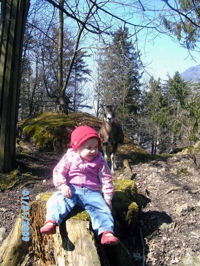 Bild zu 
