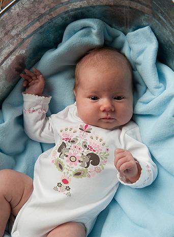 Bild zu Oh Gott, ich könnte heulen Mädels!!! - Forum für Januar - Mamis