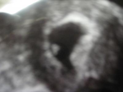 Bild zu Hab mich wieder beruhigt...:-))) - Forum für Januar - Mamis