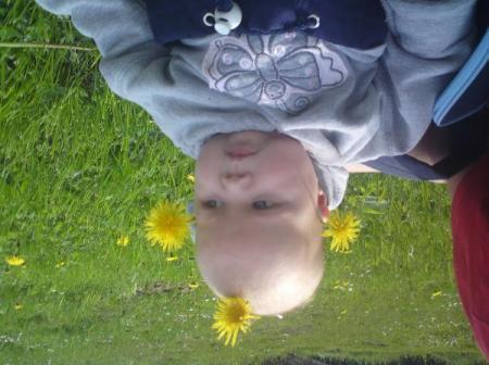 Bild zu 