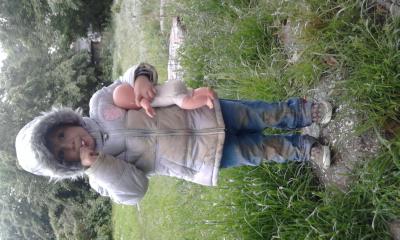 Bild zu 