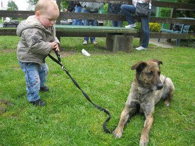 Bild zu off topic - kiga beiträge und hundesteuer - Forum für Januar - Mamis