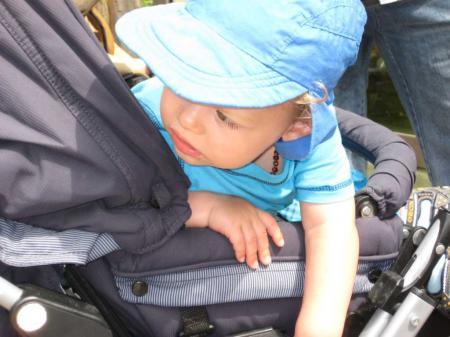 Bild zu 