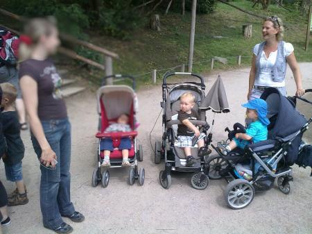 Bild zu 
