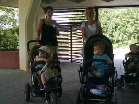 Bild zu 