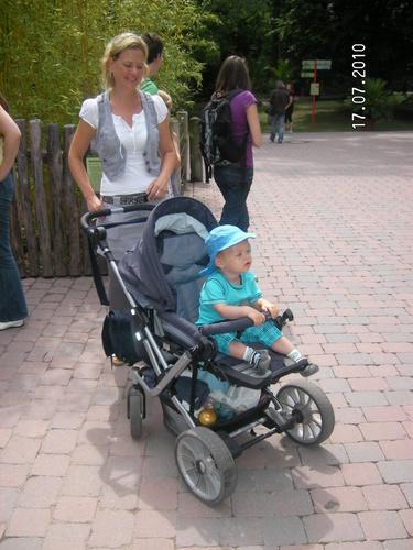 Bild zu 
