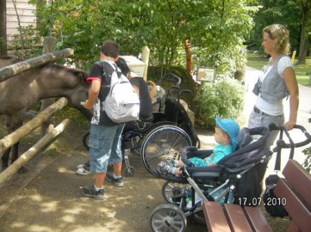 Bild zu 