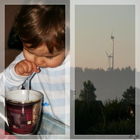 Bild zu 