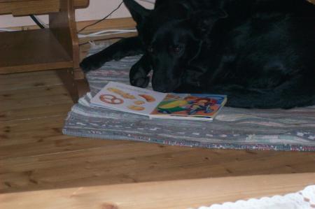 Bild zu