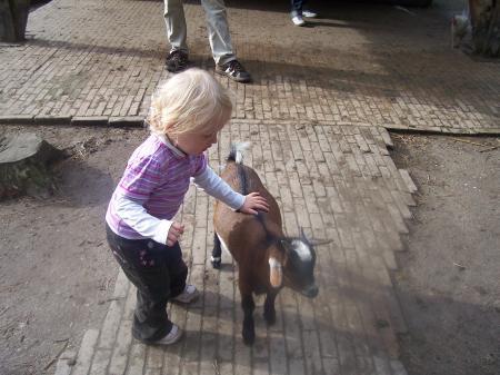 Bild zu