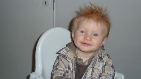 Bild zu 