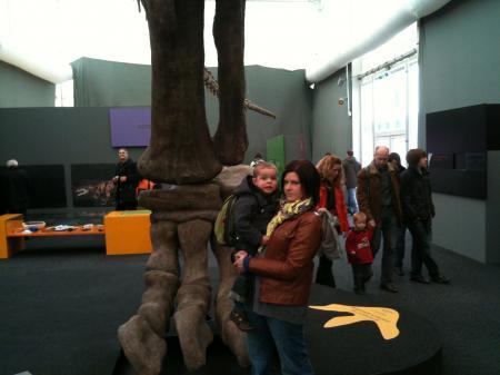 Bild zu