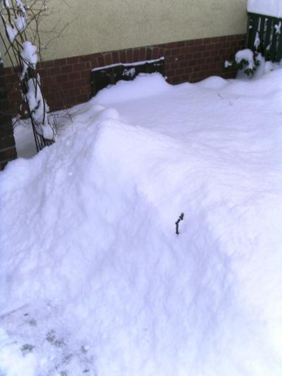Bild zu Schneetreiben im tiefsten Flachland - Forum für Januar - Mamis