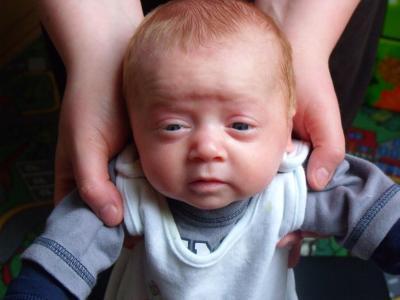 Bild zu Neues von creeper und Reuben ;) - Forum für Januar - Mamis