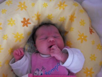 Bild zu Bildchen - Forum für Januar - Mamis